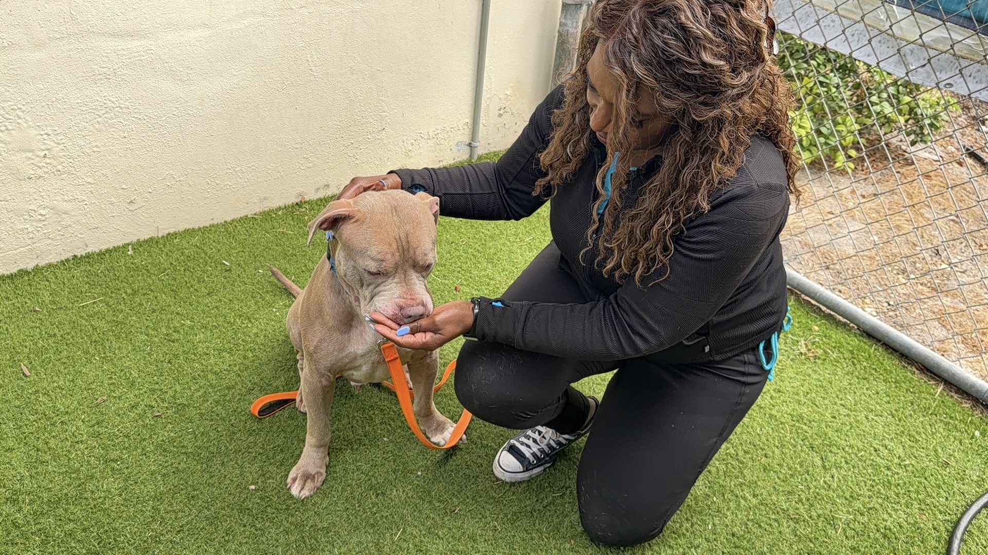 Tania and Max underdog 