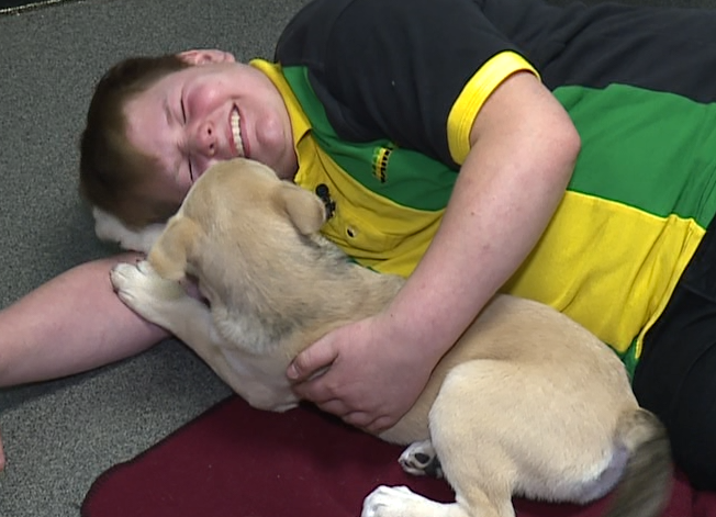 FOREVER HOME: Meet Carter! 