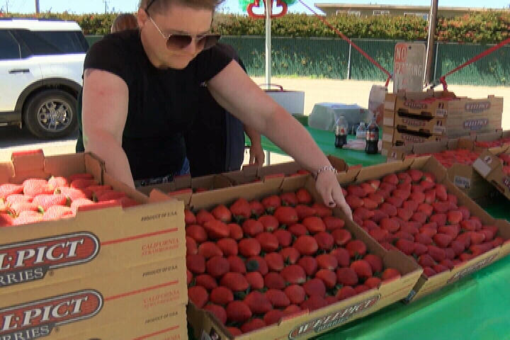 STRAWBERRY.jpg
