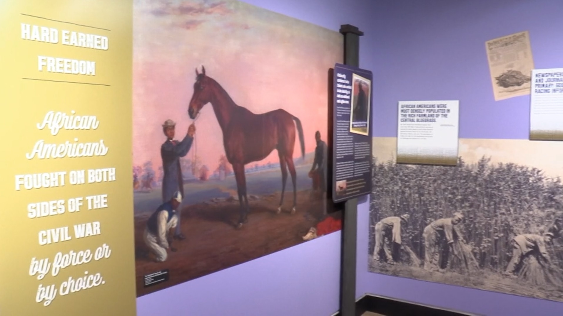 Horsies.jpg