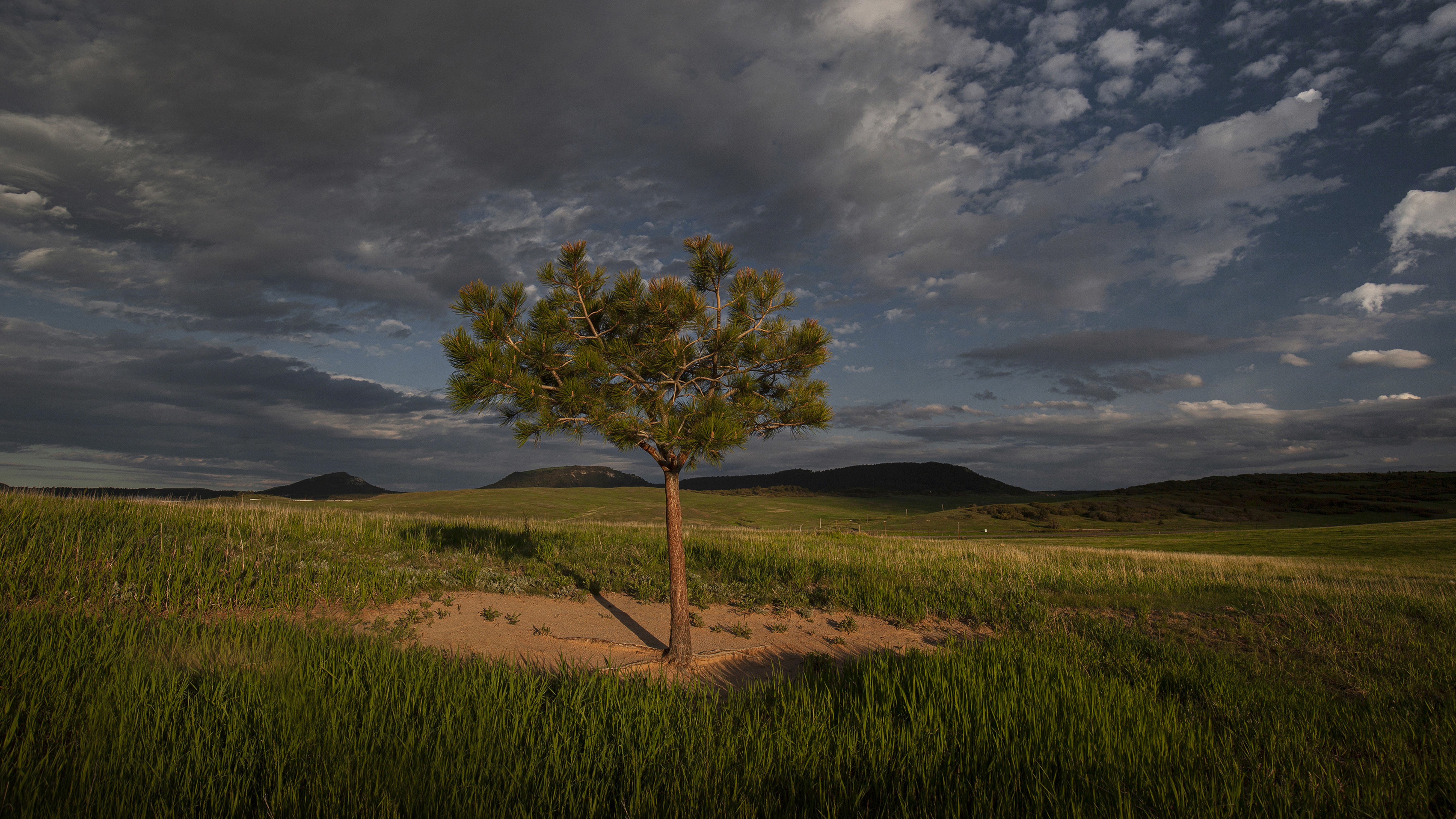 Greenland Open Space Peter Schwepker