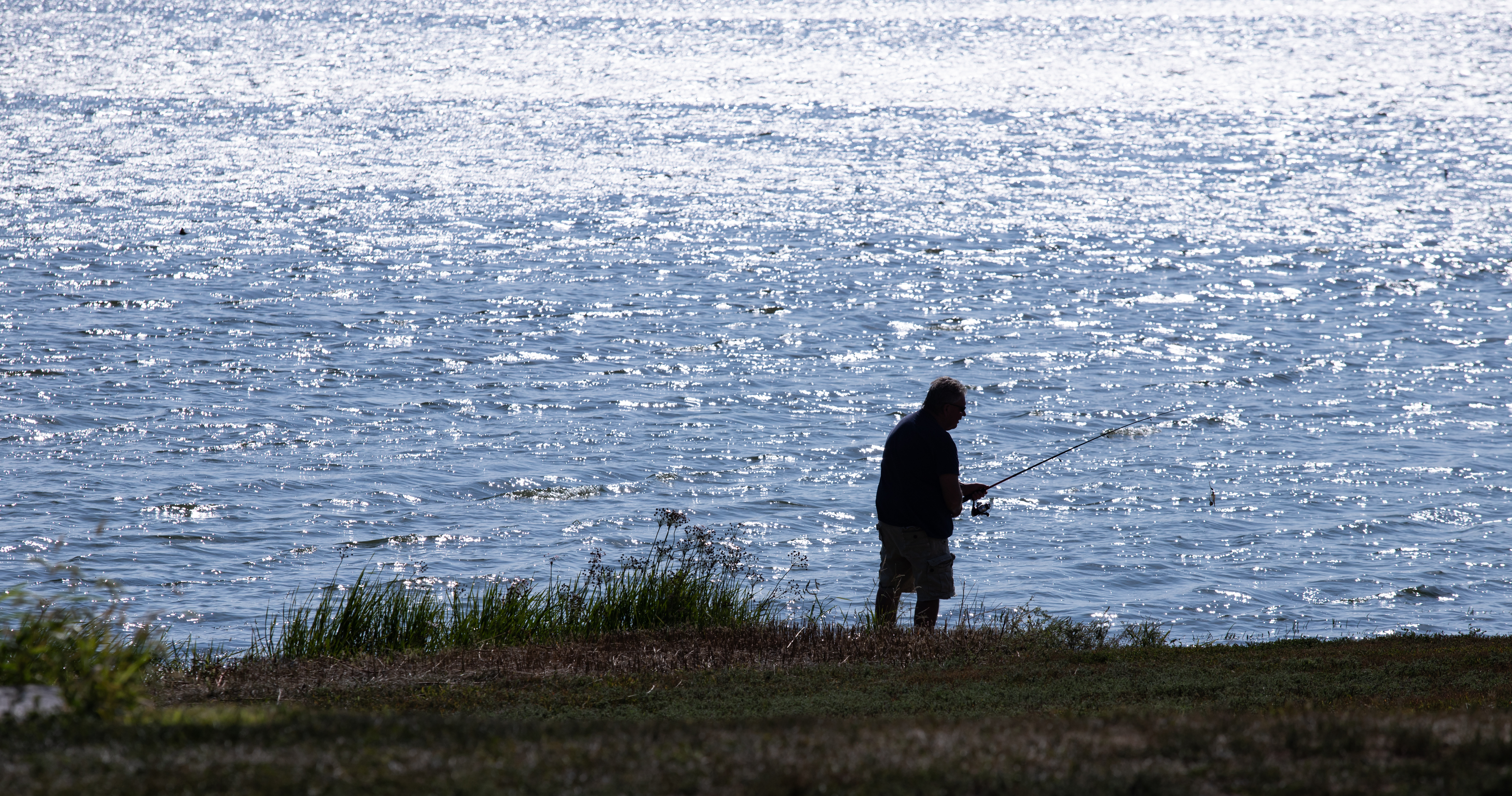 Flanagan Lake