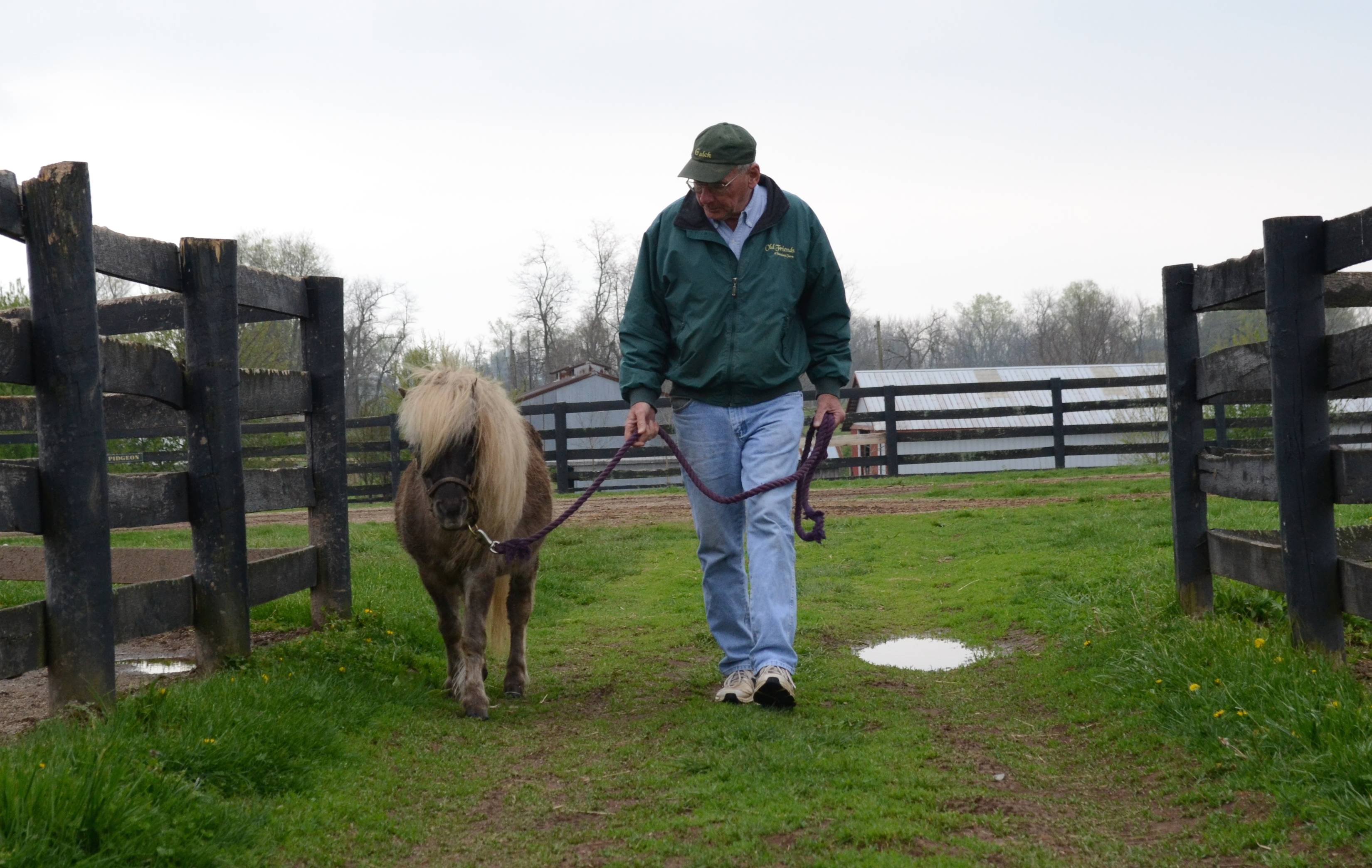 Old Horses Farm