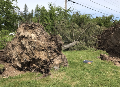 Whitefish resident sees good in community after powerful weekend storm