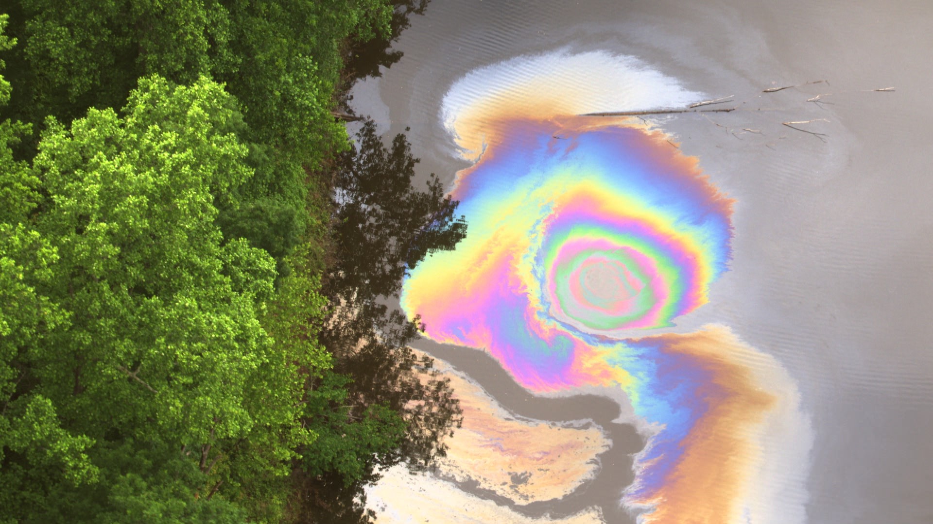 Oil Slick 