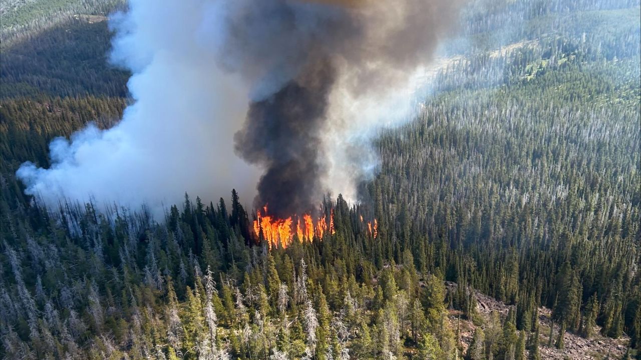 Jericho Mountain Fire