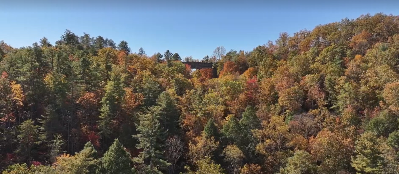 Spotlight series: Hiking in Powell County