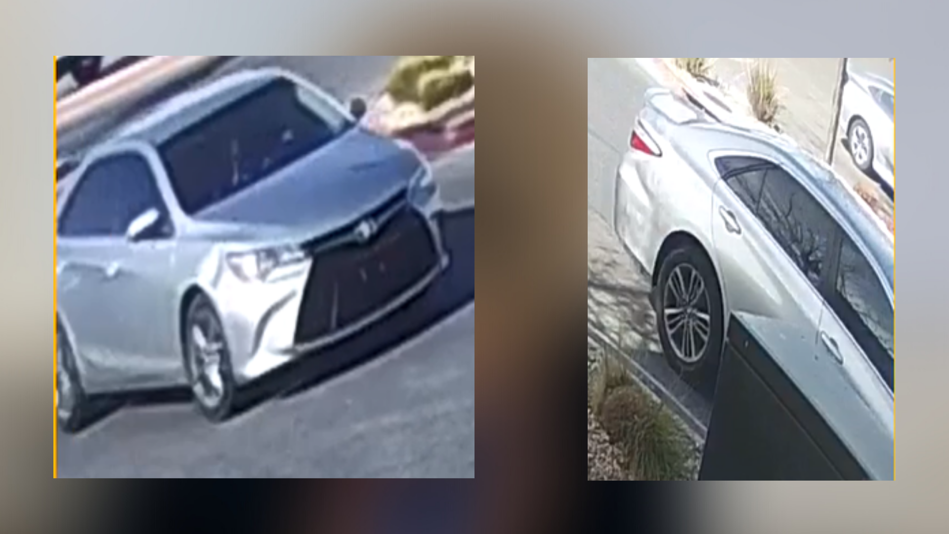 Untitled design (2).png