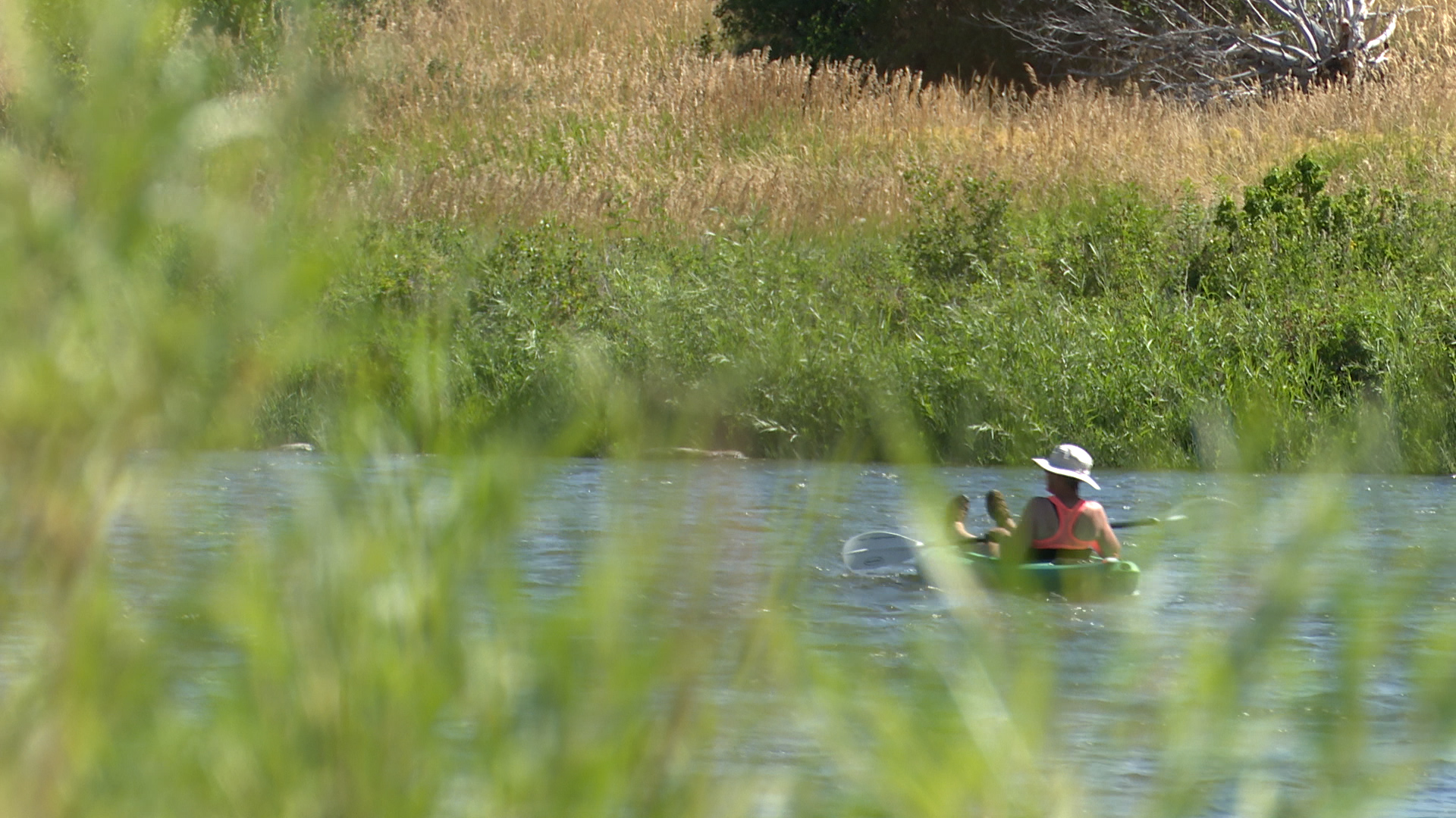 Madison River Pic .jpg