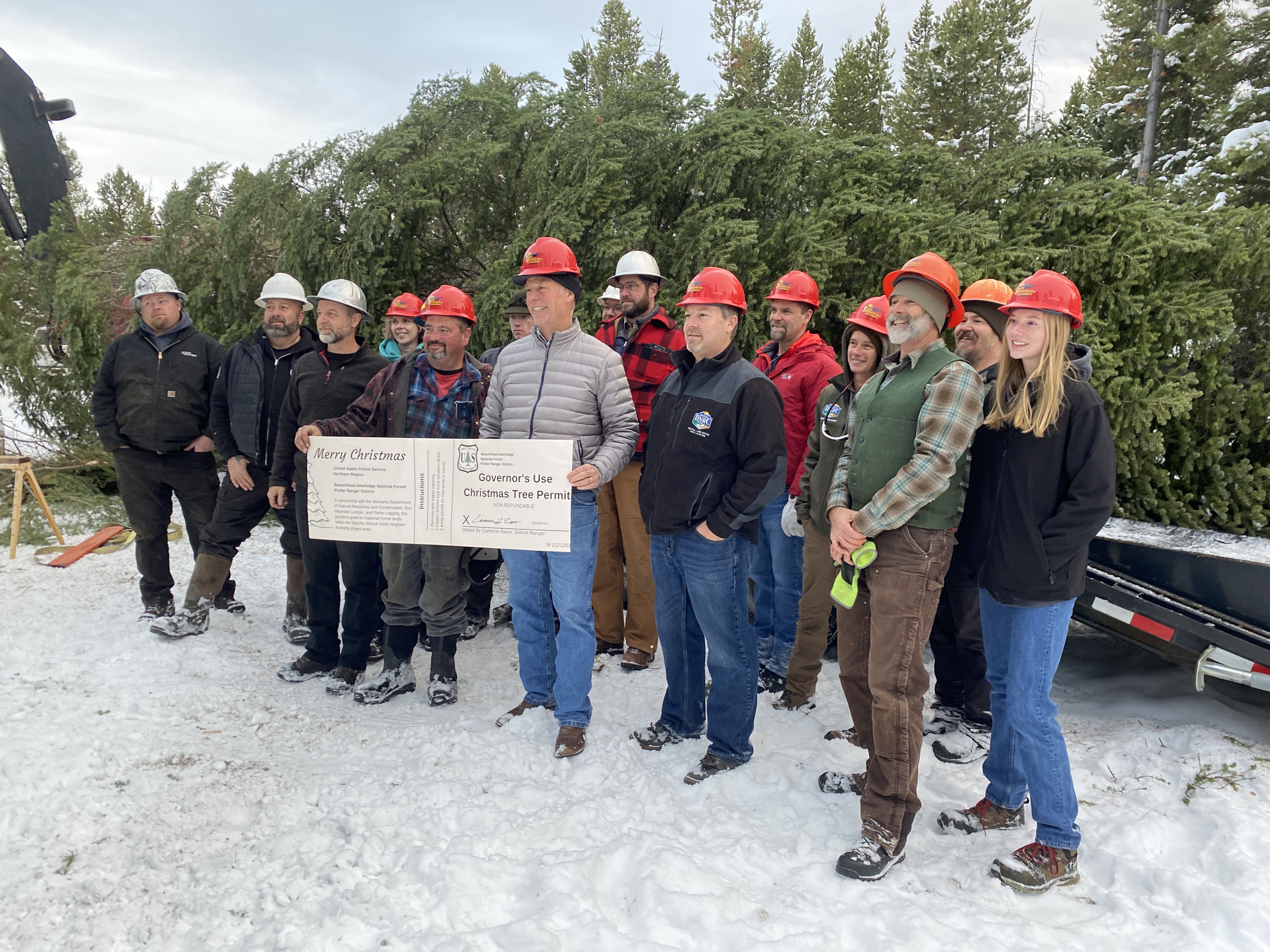 Montana's Capitol Christmas tree comes from Powell County timber project - Vimarsana News
