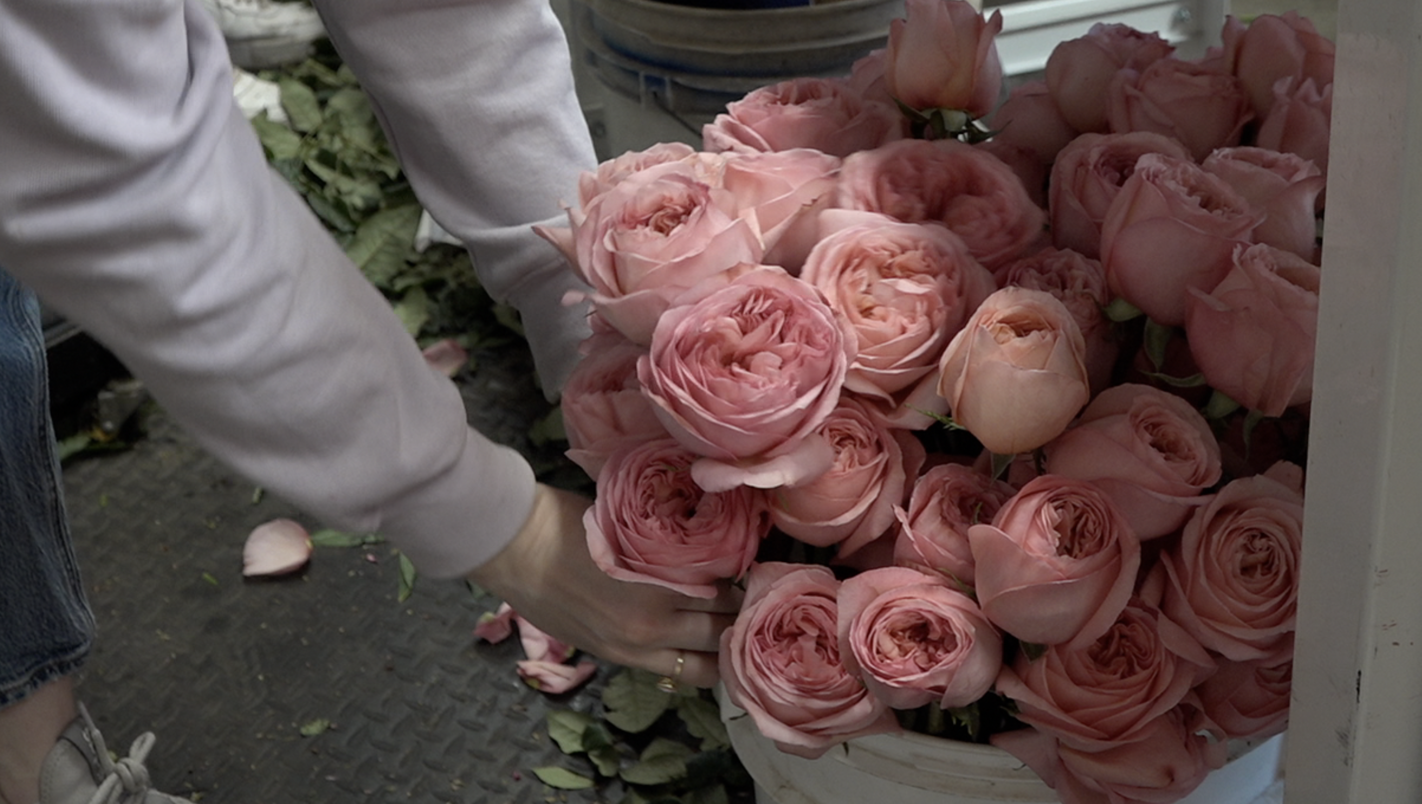 Community saves Native Poppy flower shop after flooding