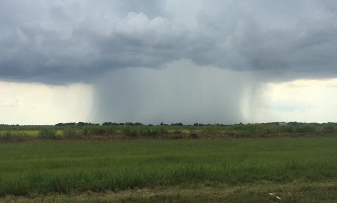 Tropical Shower 2.jpg