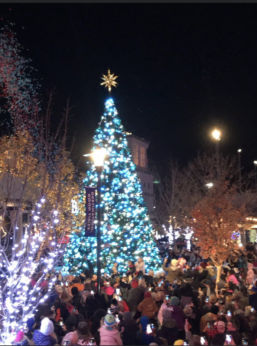 White Marsh  Christmas Tree 