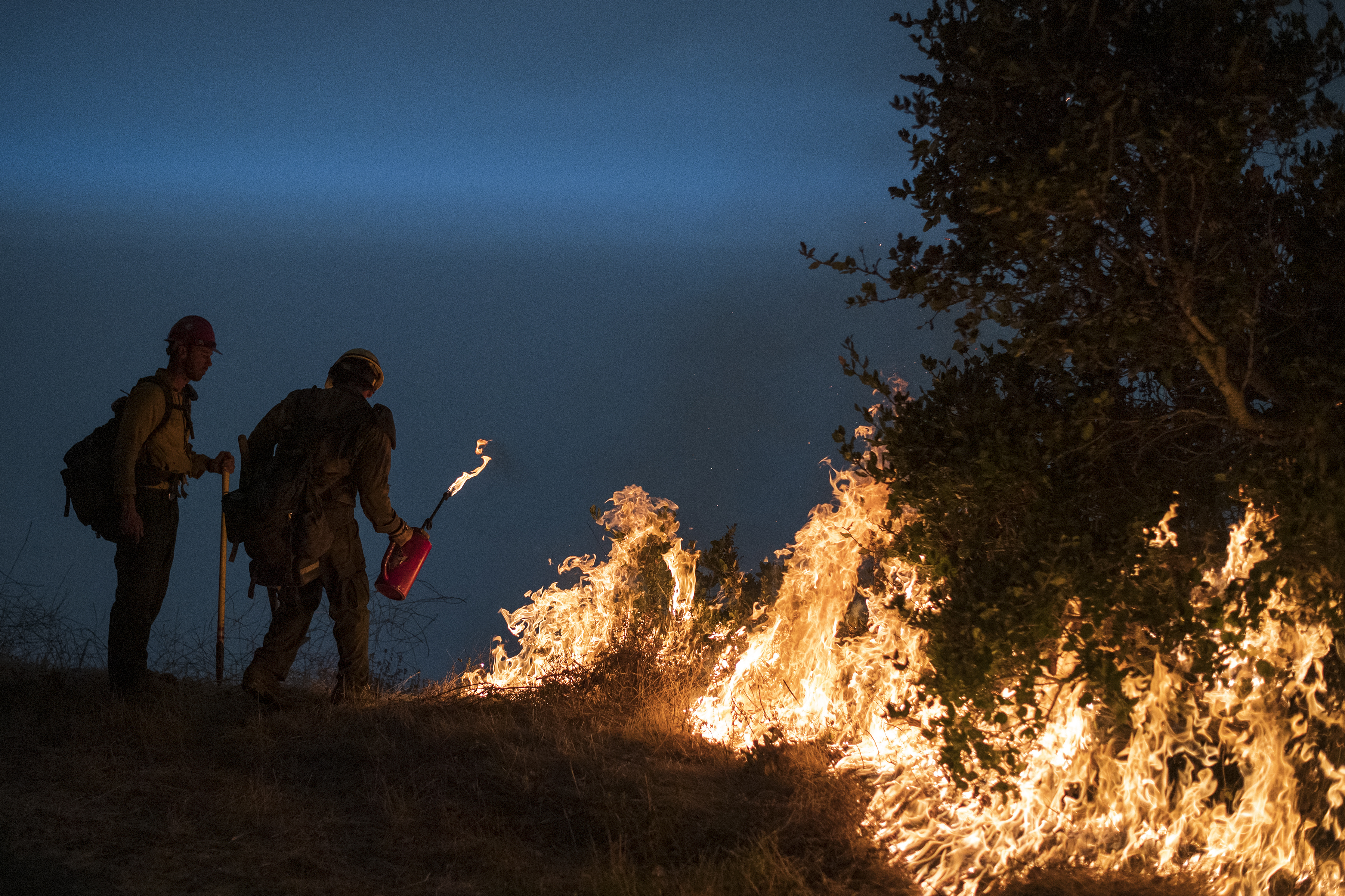 California Wildfires