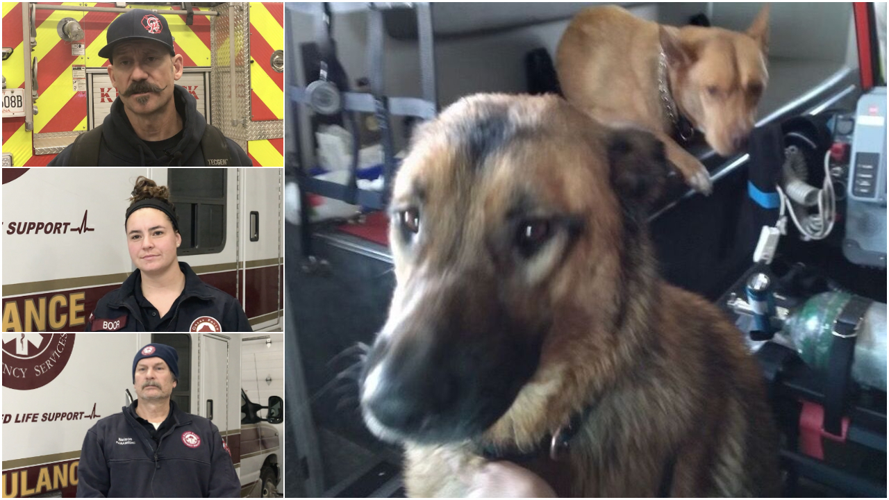 Great Falls emergency personnel recount rescuing 2 dogs from frigid river