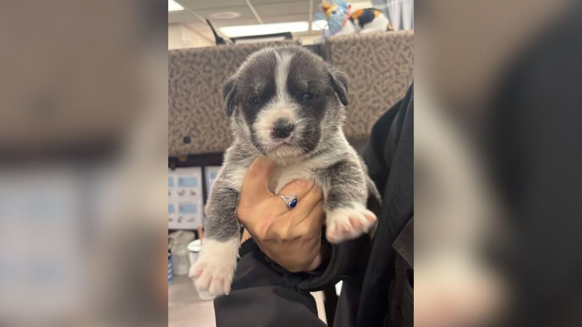 Michael Thumbnails (2).jpg