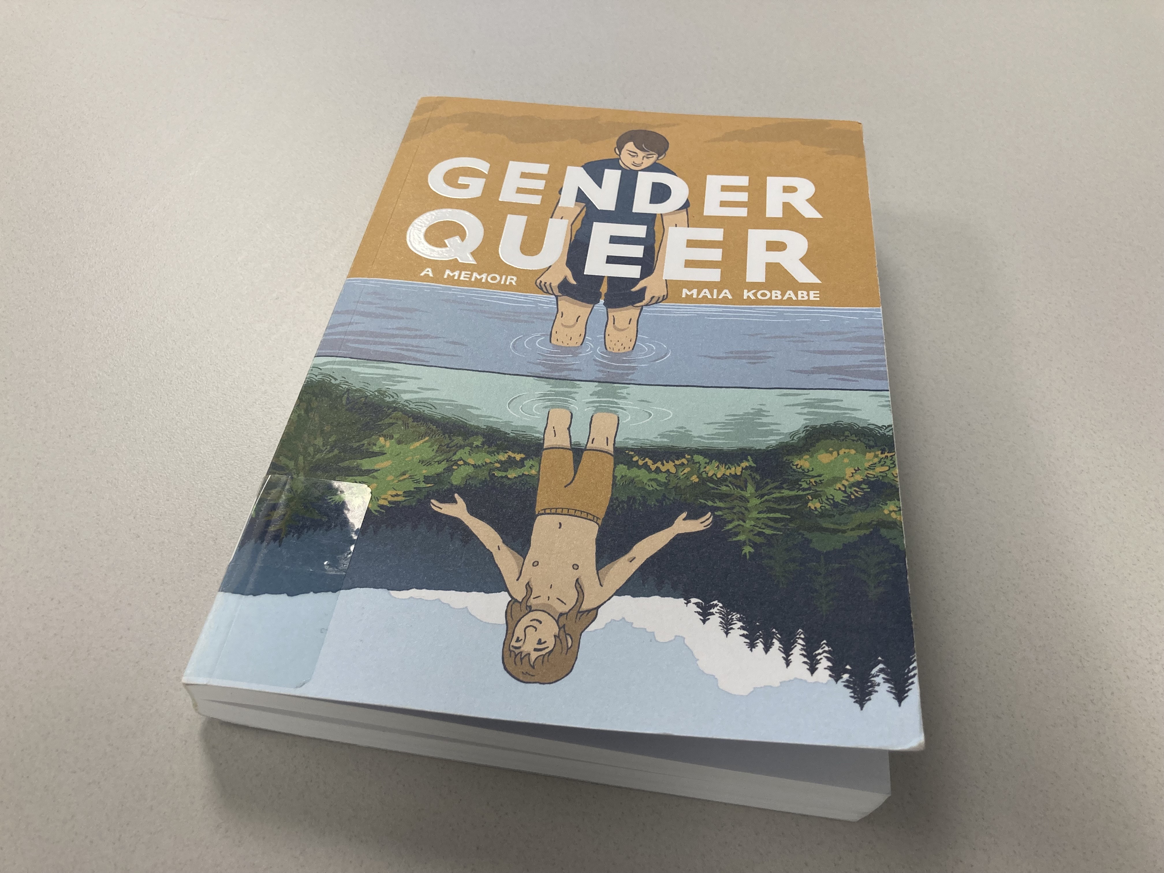 Gender Queer book