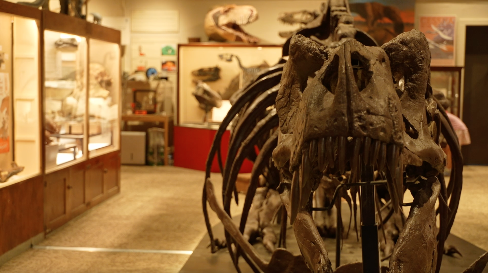 Carter County Museum, Ekalaka MT