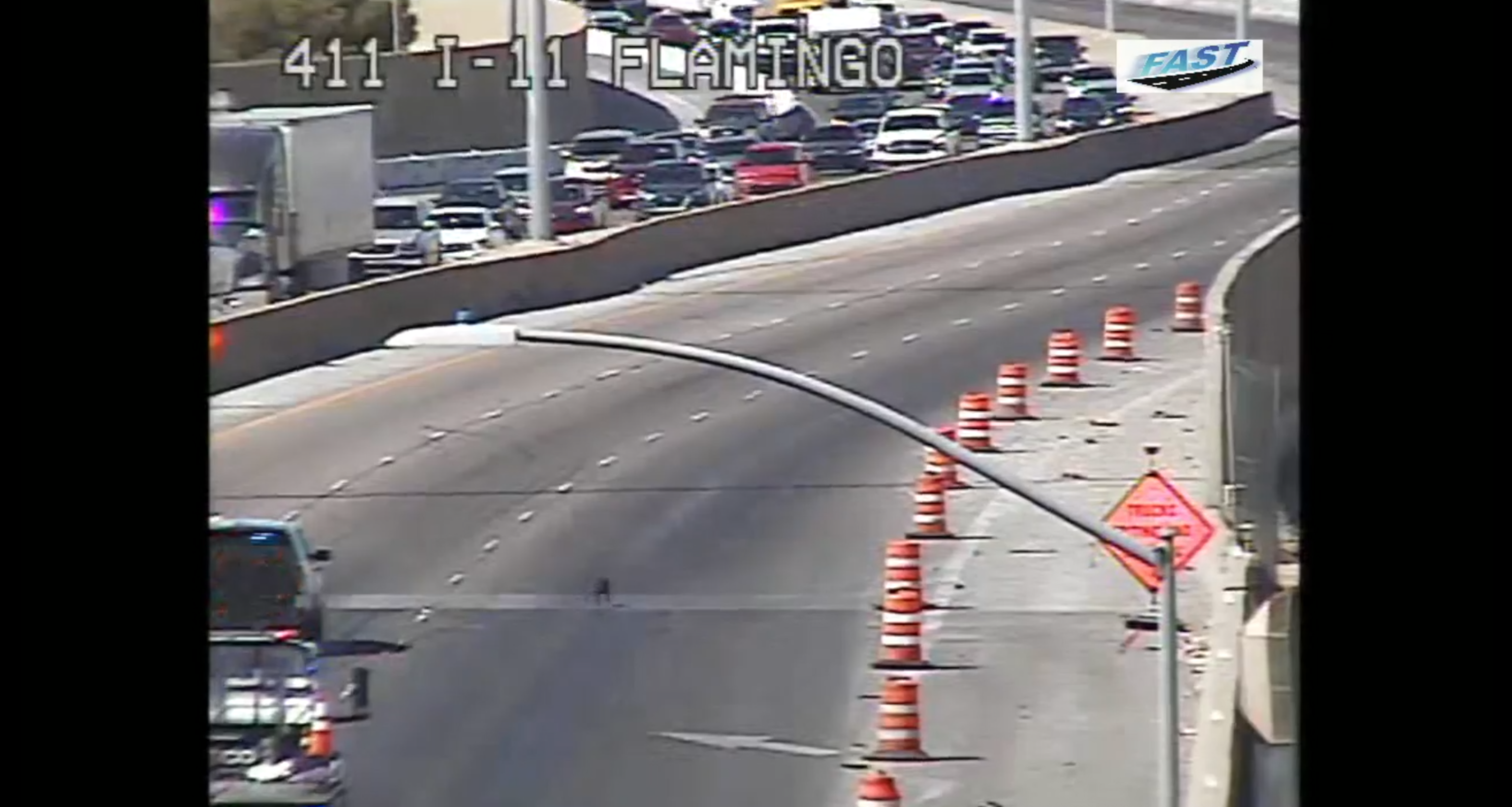 Animal runs loose down northbound I-11 near Flamingo Road
