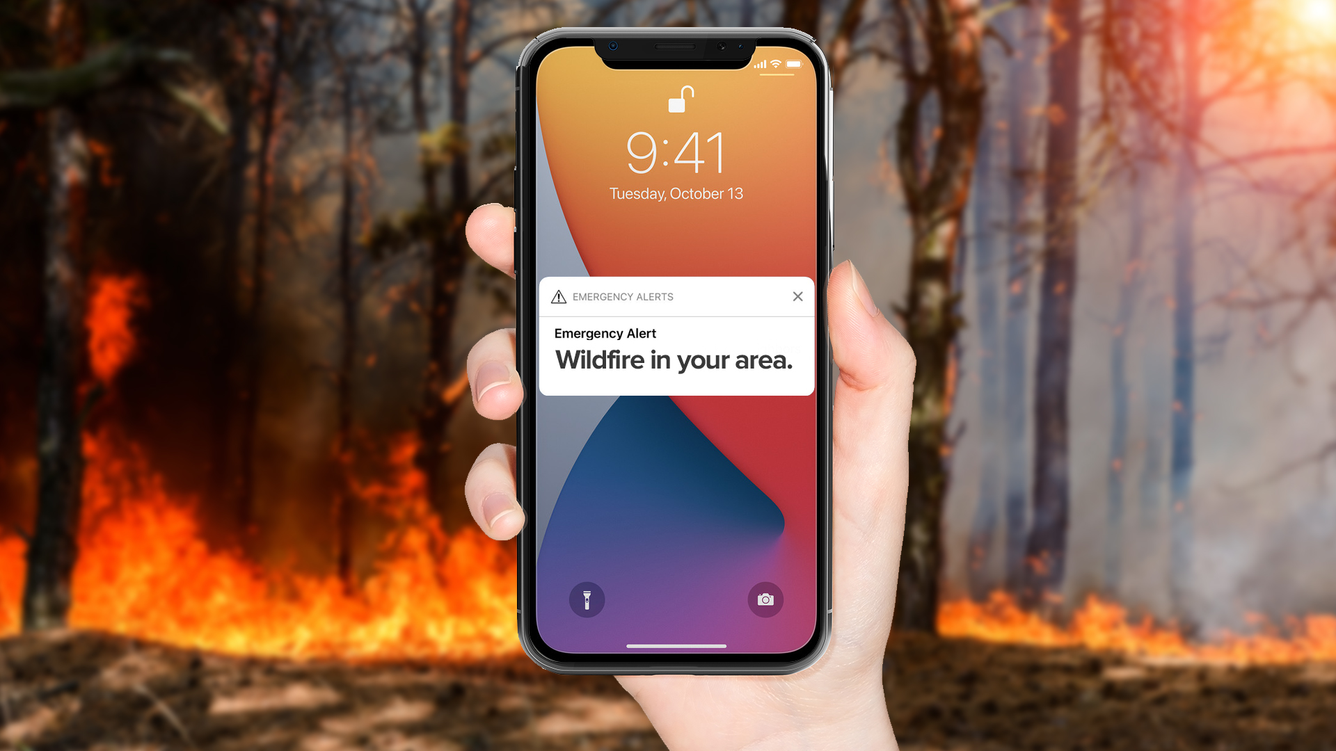 FSG Wildfire Alerts