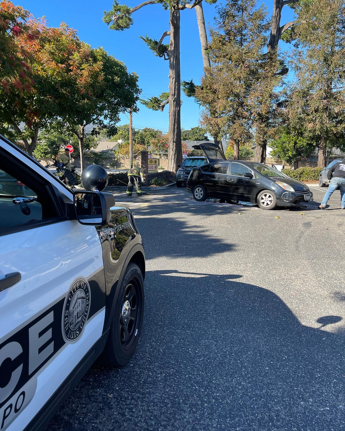 slopd arrest.jpg