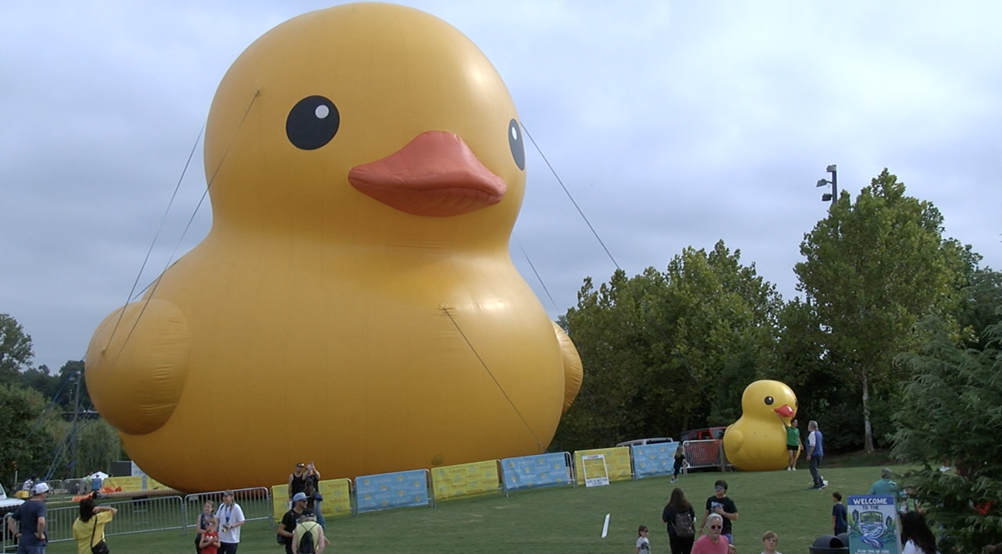 big duck 