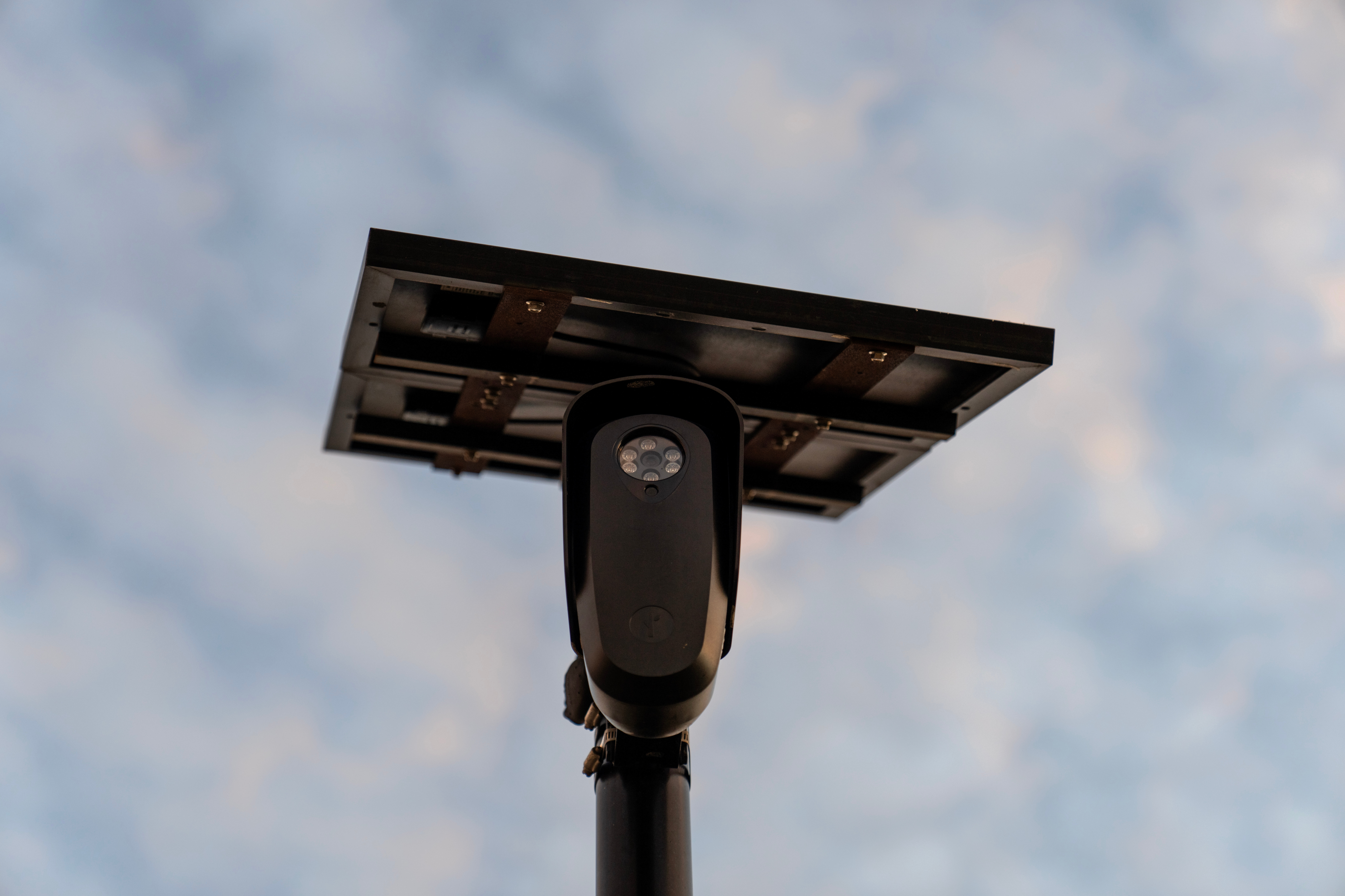 Flock cameras