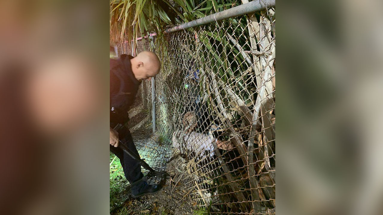 Port St. Lucie police rescue Delray Beach man trapped in woods Dec. 20, 2020