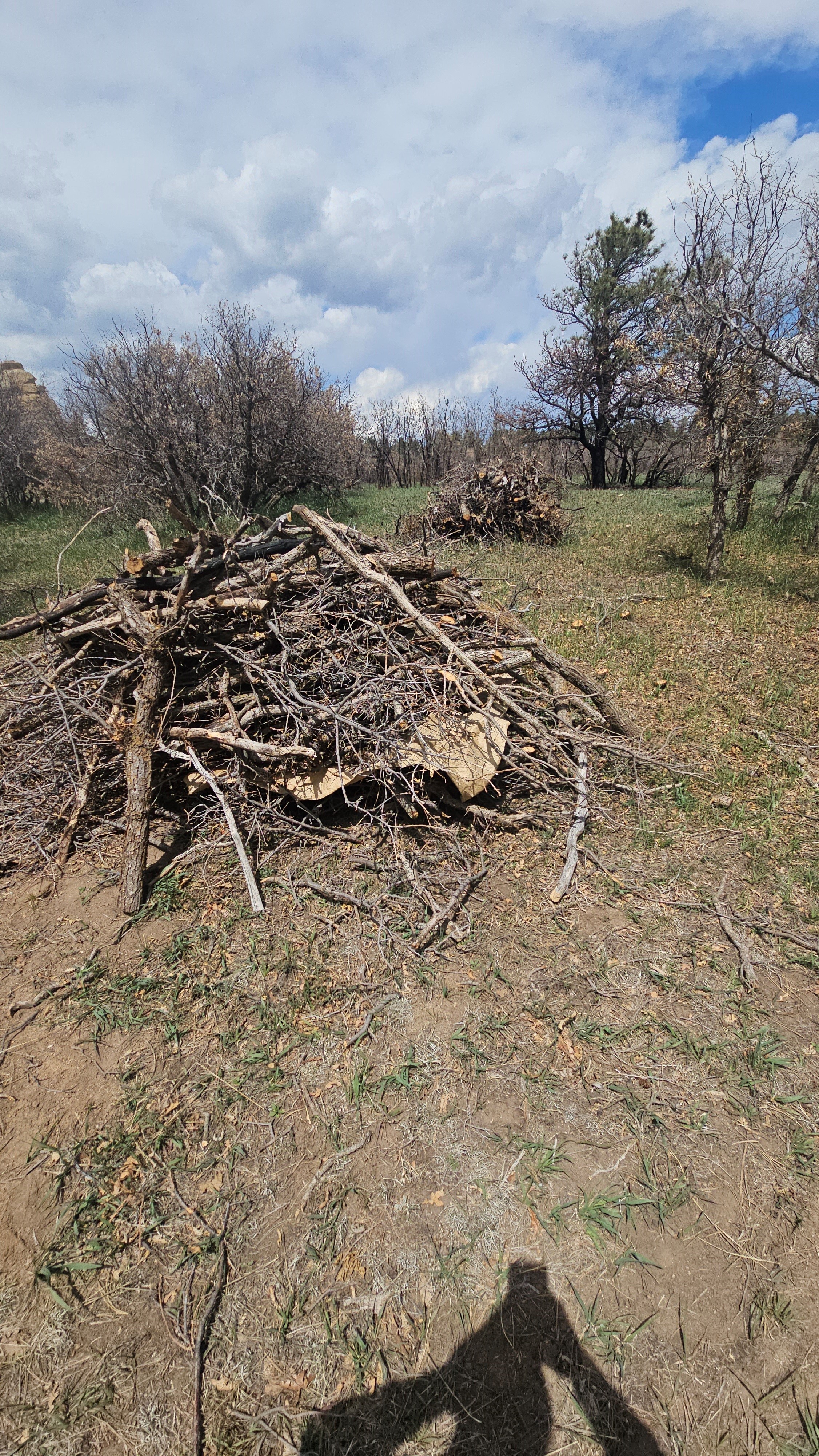 Slash Piles 