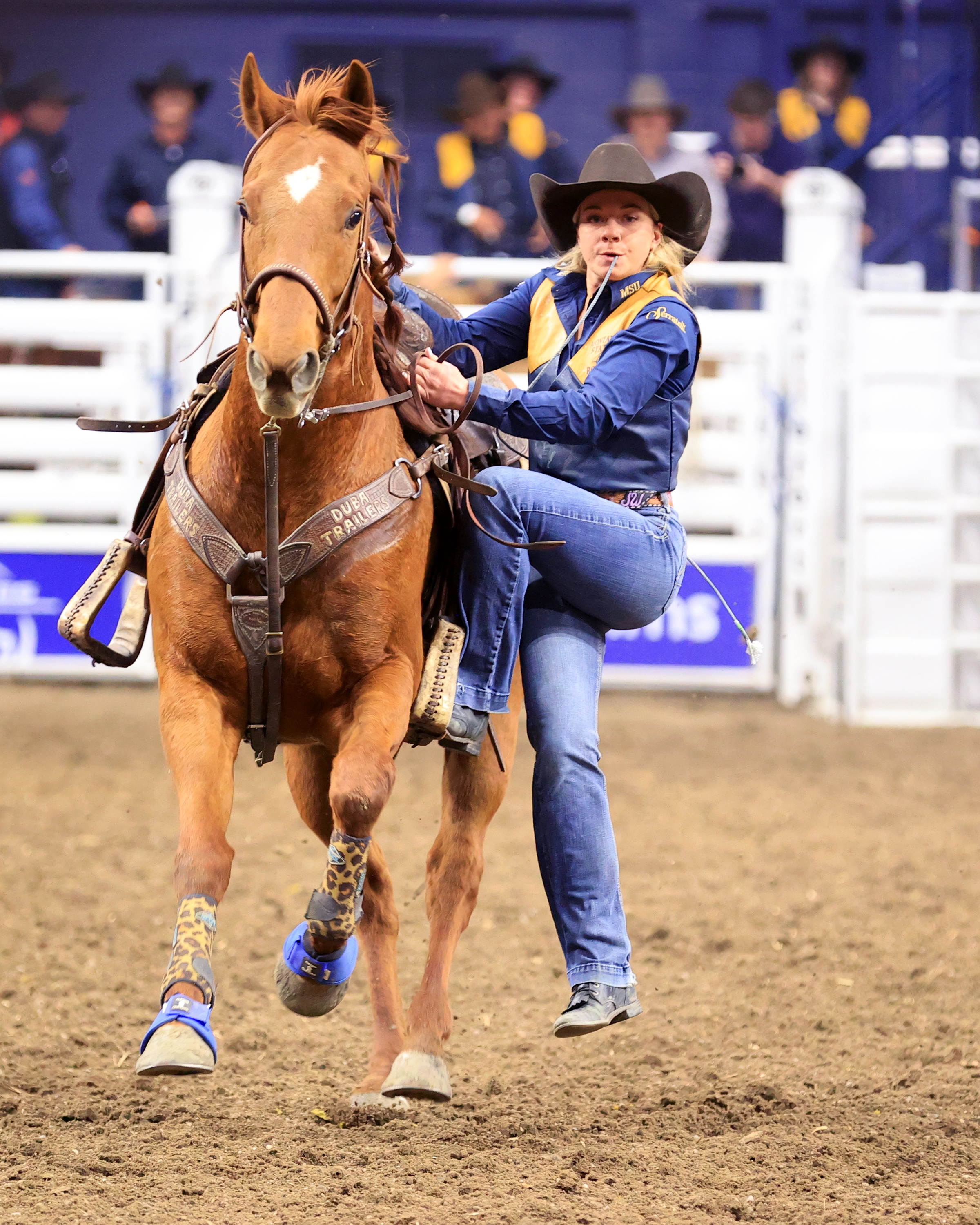 2026 Montana State Spring Rodeo