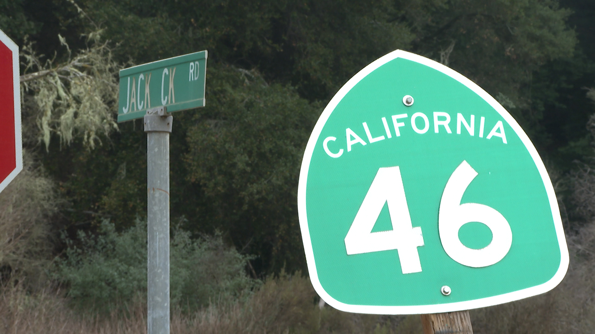 jack creek road.jpg