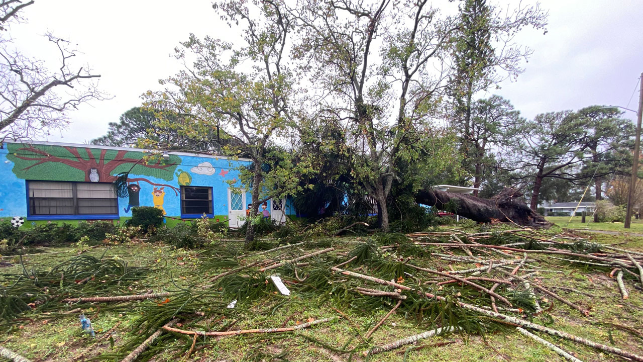 Tree into St. Pete daycare 12/15/2022