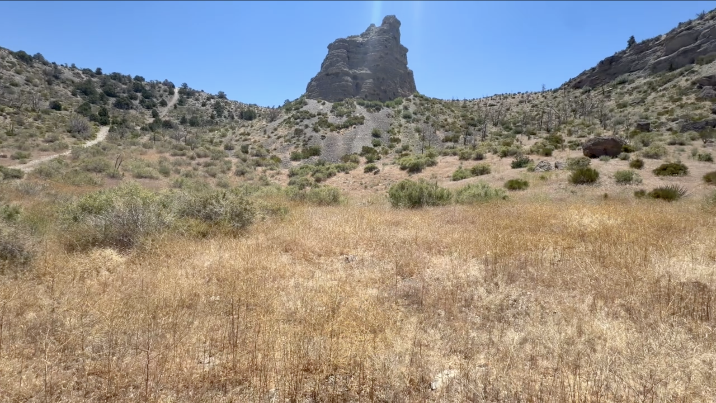 Red Brome on Mt. Charleston