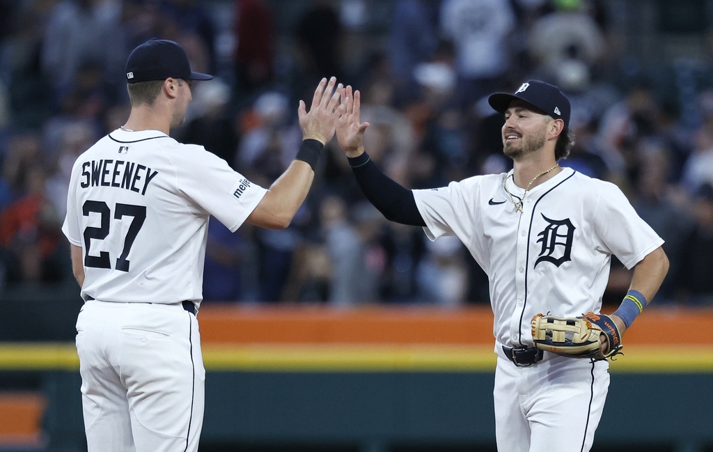 Rays Tigers Baseball