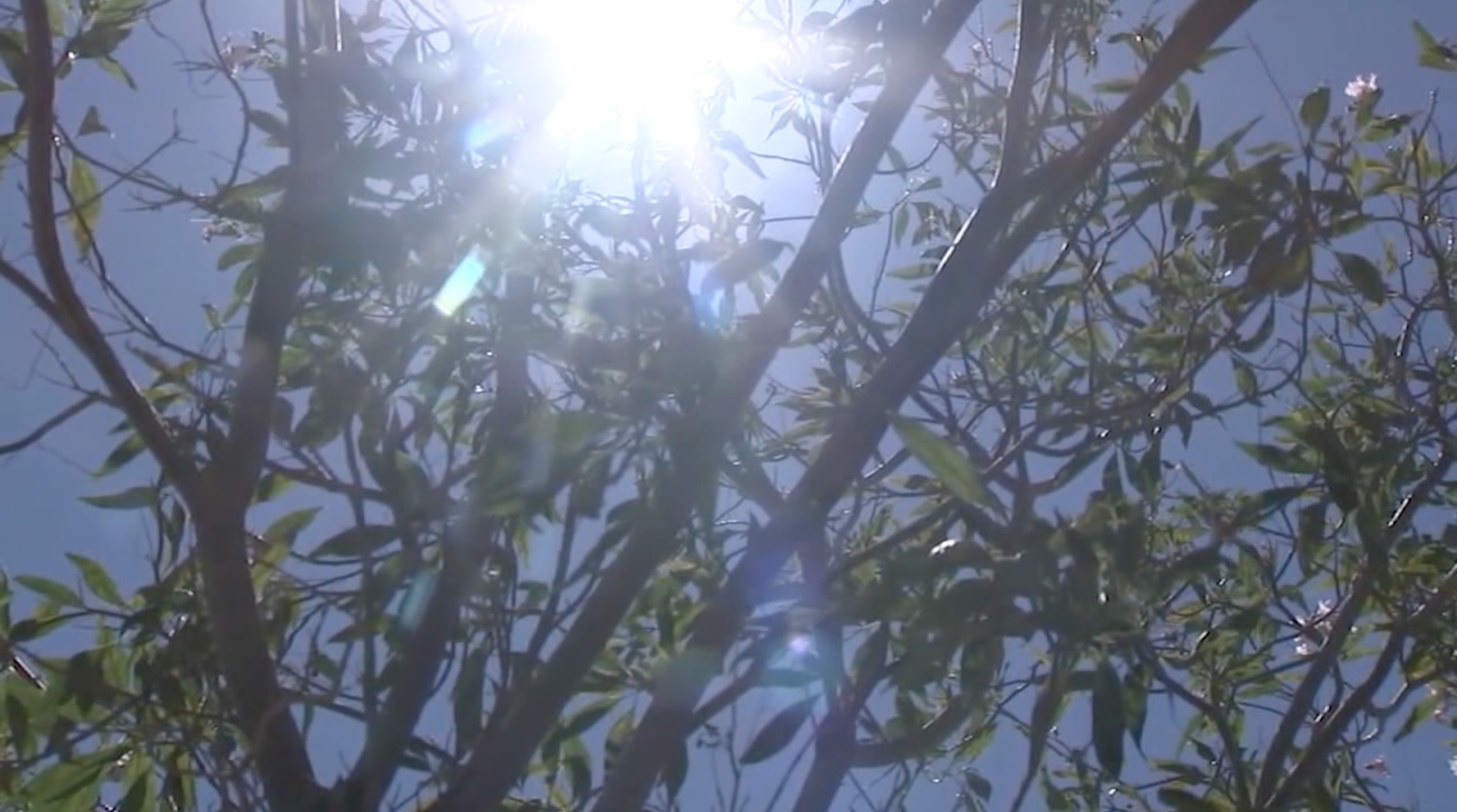 Climate change contributing to record-setting heat, drought in Las Vegas