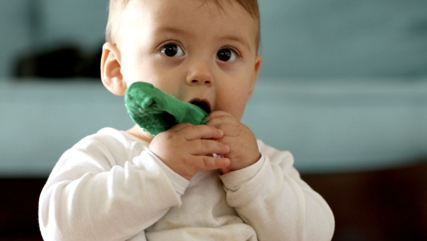 Screenshot 2026-03-30 at 5.28.31 PM.png