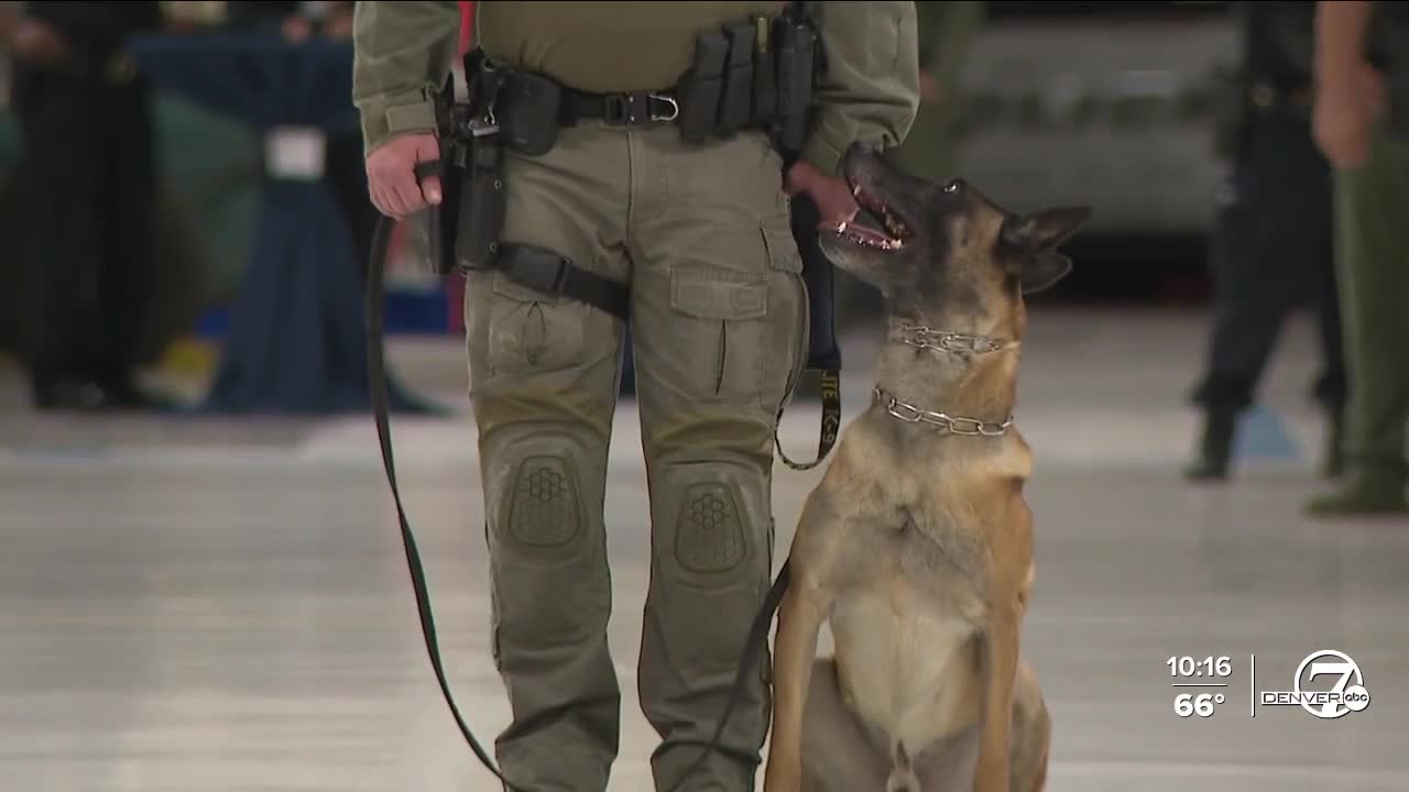 Heroes With Paws