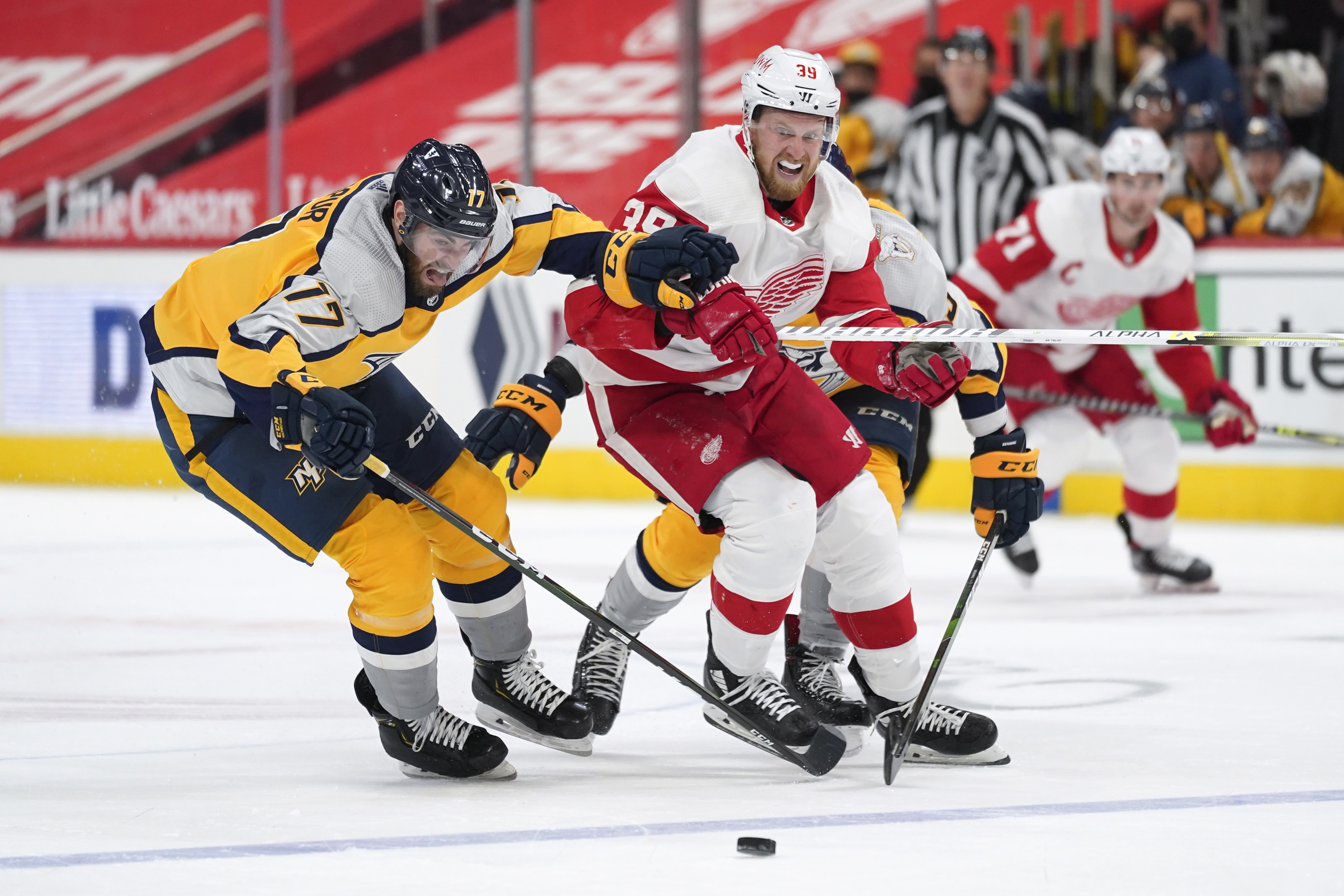 Anthony Mantha Red Wings