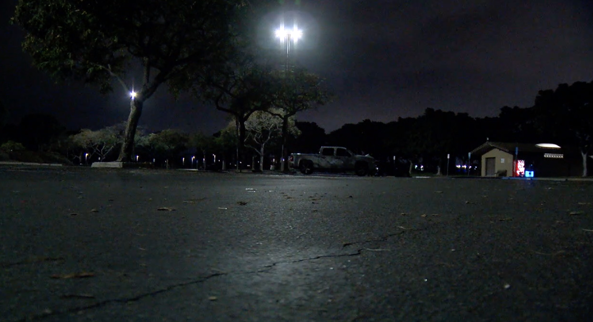 TIDELANDS PIC.jpg