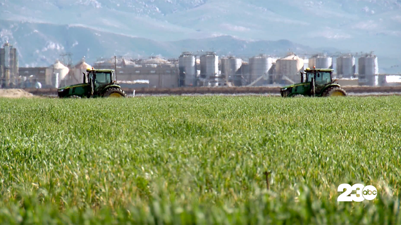 Farm Field, Bakersfield (FILE)