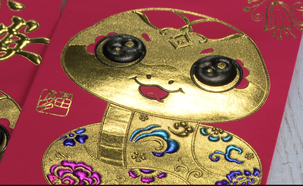 Year of the snake