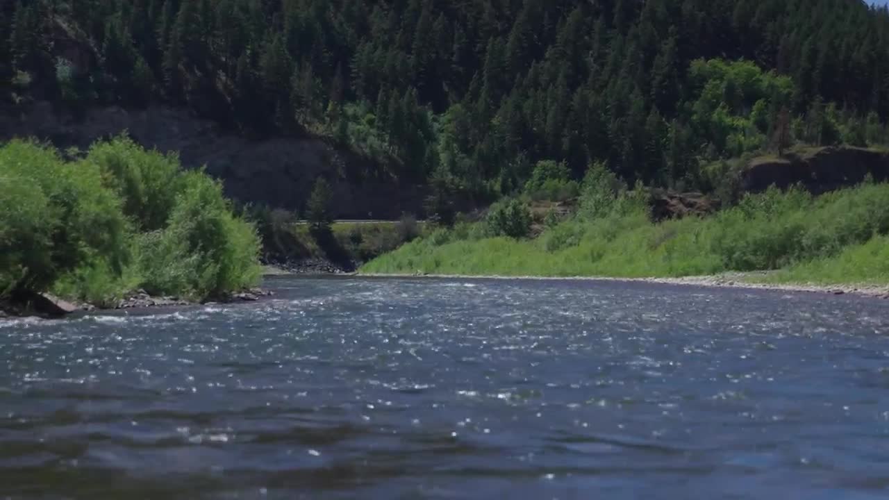 River Bonner