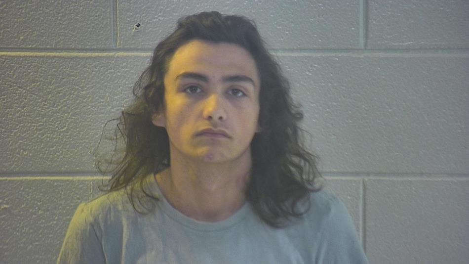 Tony Collins mugshot.gif