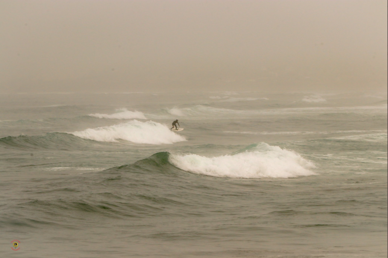 TED FLETCHER 060320.PNG