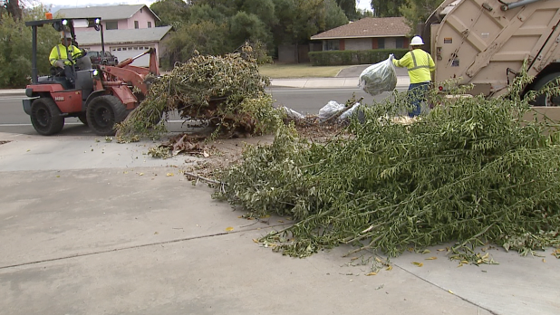 Trash buildup phoenix.png