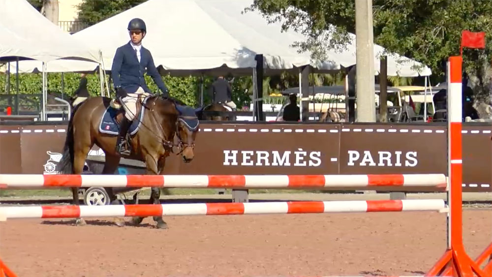 wptv-wellington-horse-2019