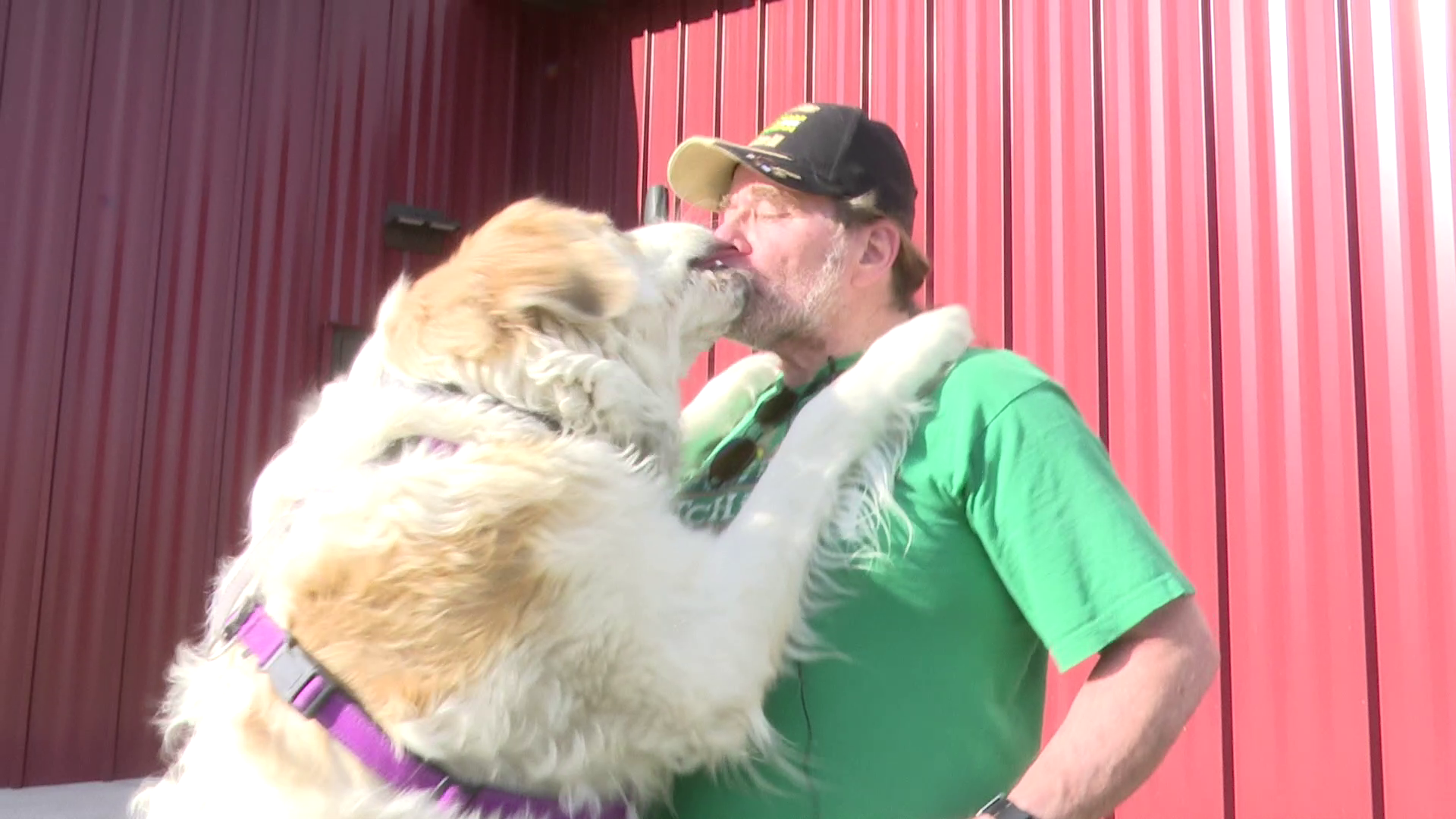 "Montana Puppies For Patriots" helps veterans and first-responders 