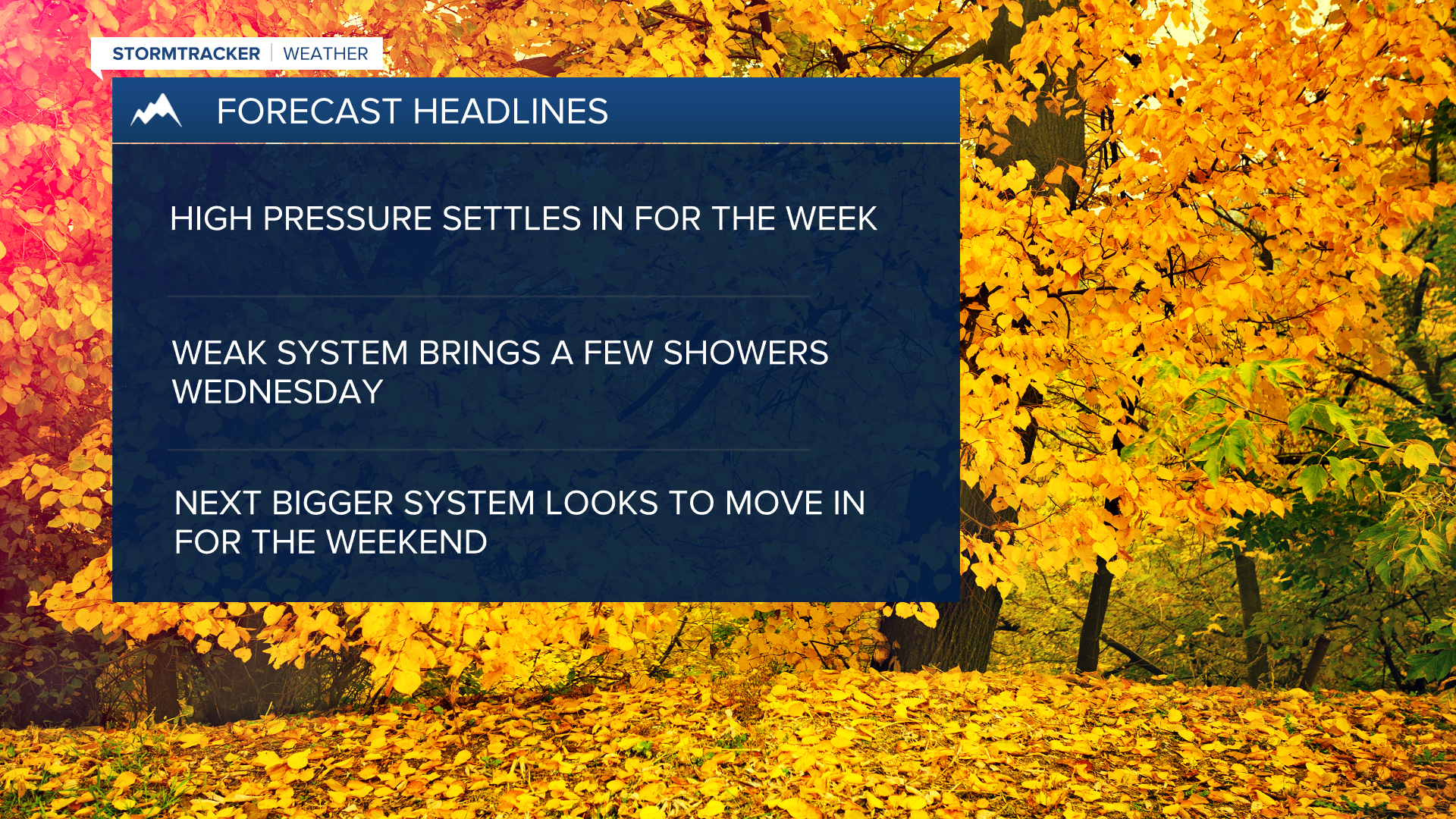 WX Headlines