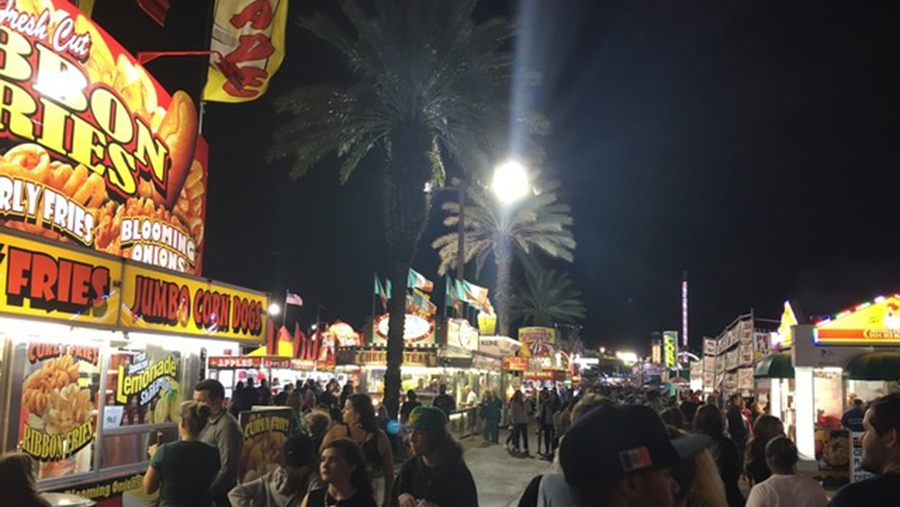 WPTV-SOUTH-FLORIDA-FAIR.jpg