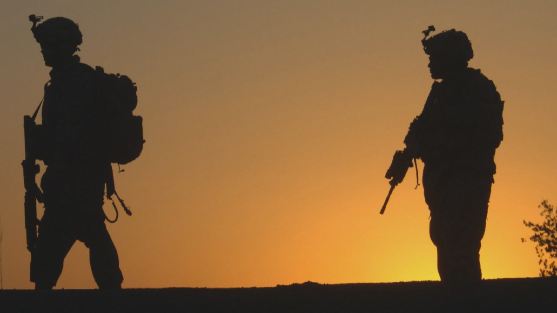 Afghanistan Veterans